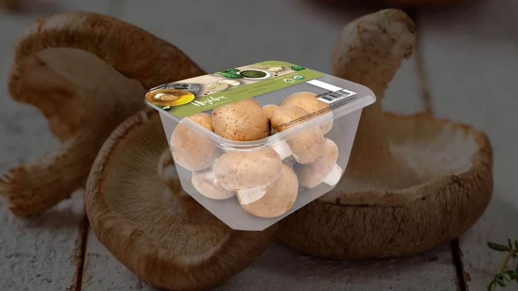 Highline Mushrooms in rPET plastic tills.