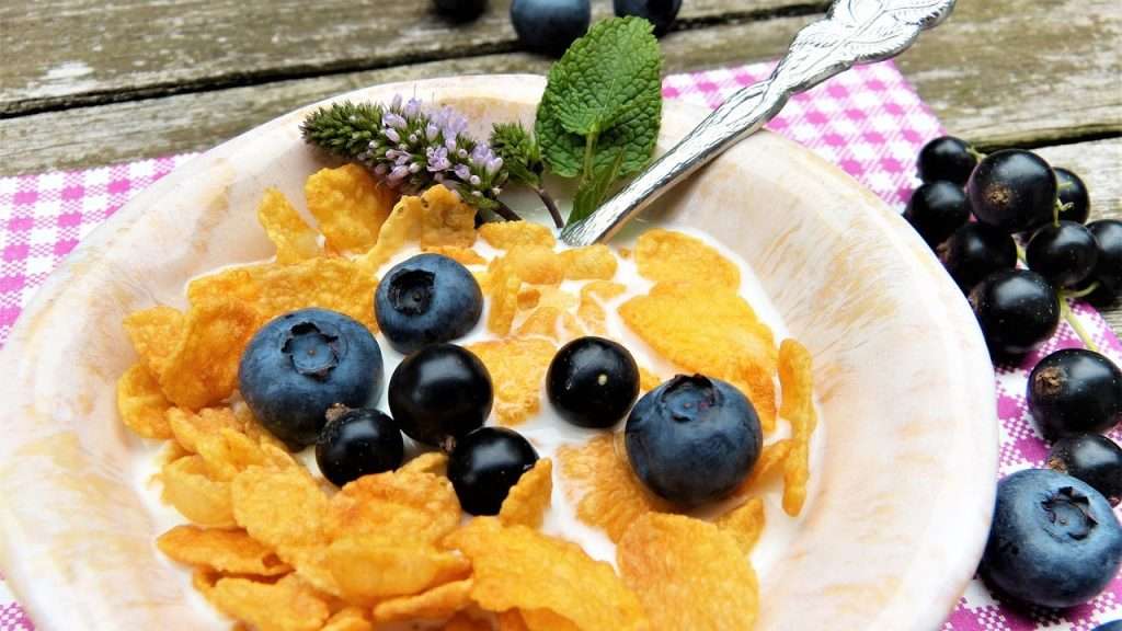 Bowl of cornflakes and blueberries.