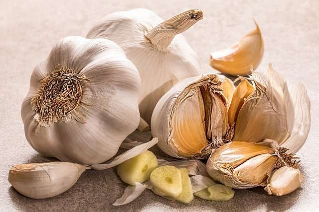 Garlic bulbs and toes