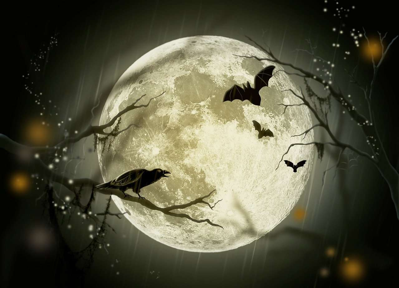 Pixabay Halloween image moon with bats flying.