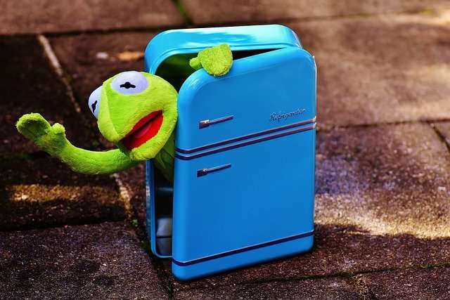 Kermit the frog in refrigerator. 
