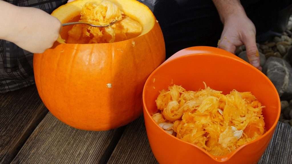 Two people removing innards from a pumpkin getting it ready for carving.