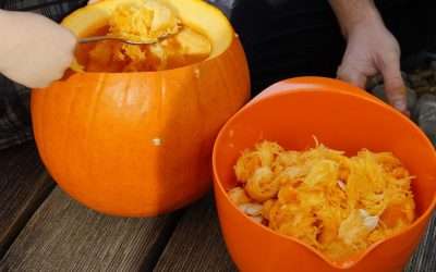 If It’s Halloween, It’s Time For A Pumpkin: Tips On Purchasing, Carving And Eating