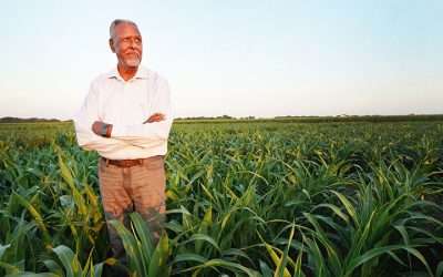 Gebisa Ejeta Awarded National Medal Of Science