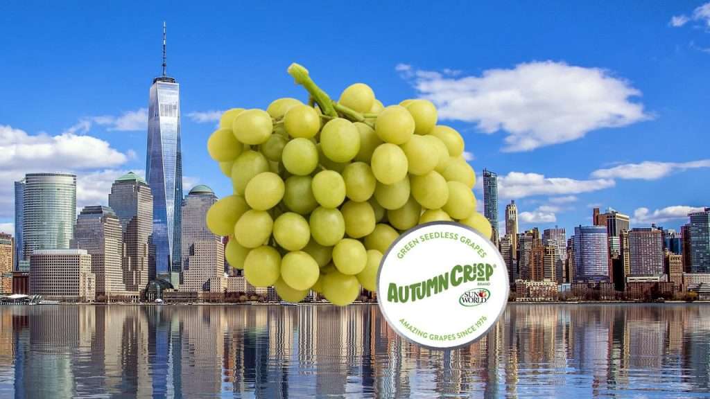 Downtown Manhattan Skyline with AUTUMNCRISP® bunch of graps and logo overlay.