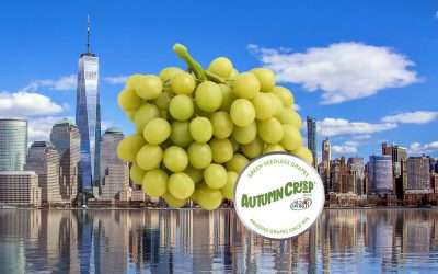 AUTUMNCRISP® Brand Grapes Take A Bite Of The Big Apple