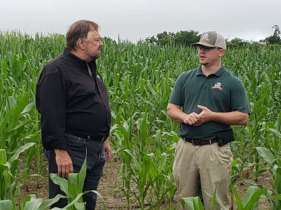 Hickory Hill milk Chip and Daniel interview in cornfield. 