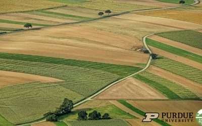 The Farm And Ranch Lands Protection Program Saved Threatened Agricultural Land And Delivered Other Benefits