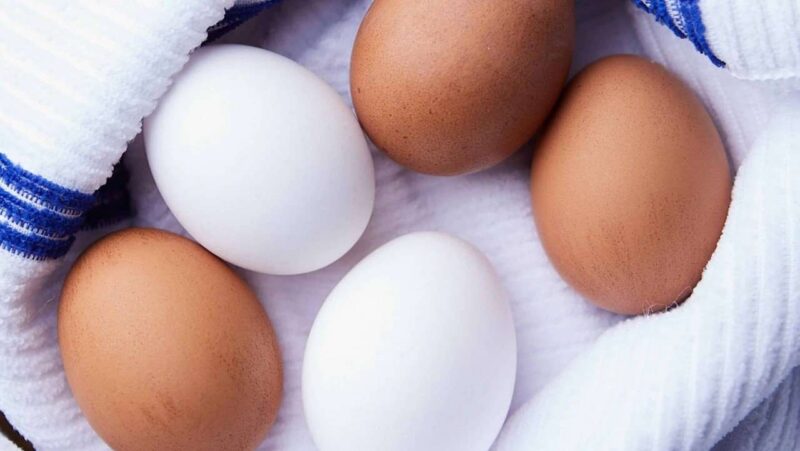 Close-up of brown and white eggs.