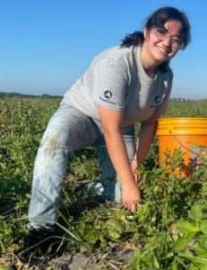 SoSA's Rebecca Brockman in a gleaning field.