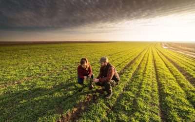 USDA Invests Nearly $28M To Support Beginning Farmers And Ranchers