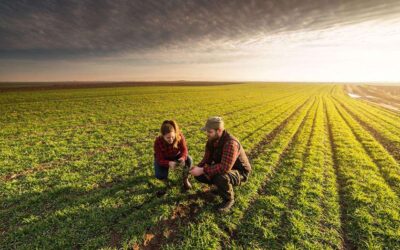 USDA Invests Nearly $28M To Support Beginning Farmers And Ranchers