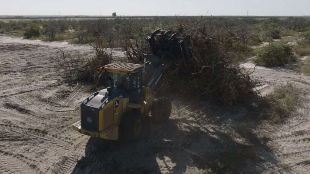 Bulldozer bulldozing dead citrus trees.