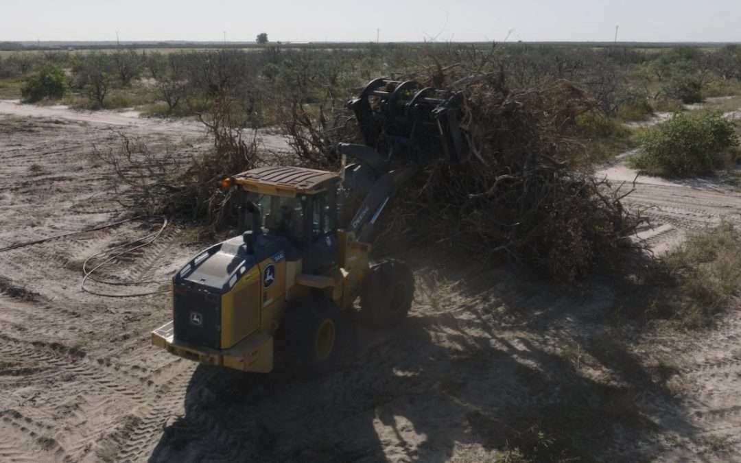 Florida Citrus Growers Head Indoors To Survive, Story Comes To TV