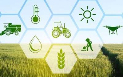 Innovative Ag: Future Proofing The Produce Industry