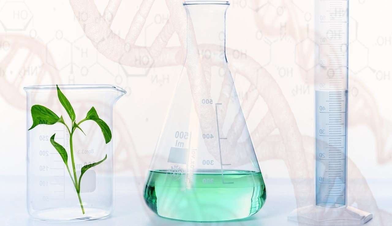 Science lab beaker with a plant in it and another with liquid.