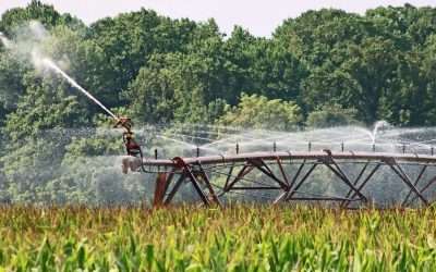 Report: Escalating Water Risks Threaten U.S. Agriculture