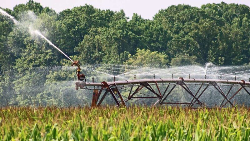 Pivot irrigation system on a farm.