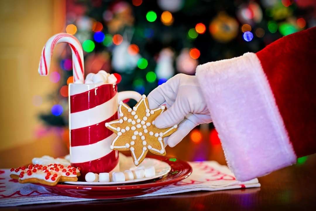 Santa's hand reaching for a cookie.