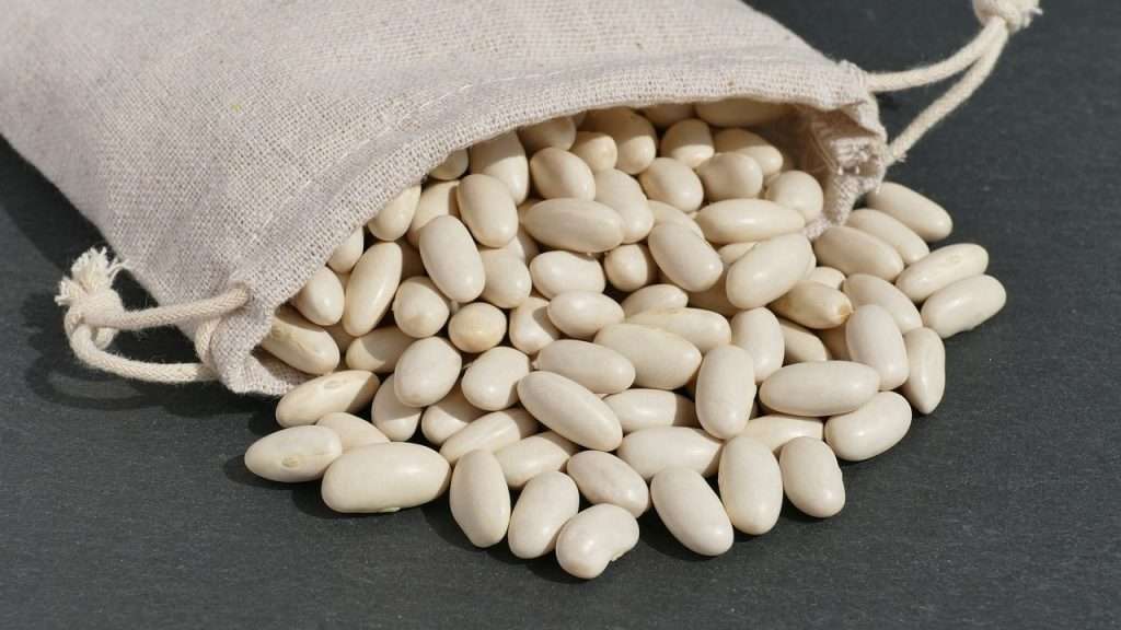 Dry navy beans spilling out of a burlap pouch.