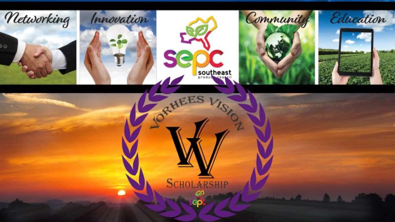 Sunset image over land with SEPC and Vorhees Vision Scholarship logo overlays.