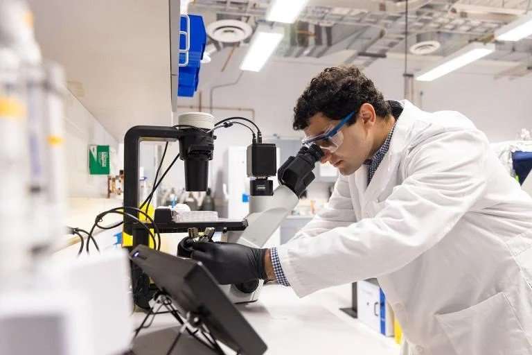 Adham Ali examining specimens under a microscope in the Kaplan Lab. Credit: Jenna Schad