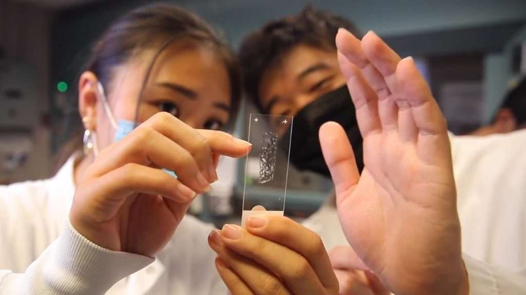 Tufts University Cellular Agriculture scientists looking at a microscope slide.