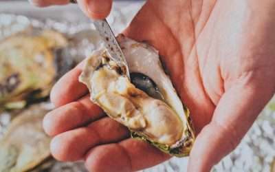 It’s The Food Of Love — But How On Earth Do You Shuck An Oyster?