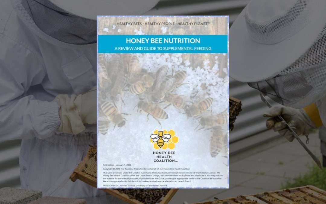 Honey Bee Health Coalition Helps Beekeepers Unlock The Secrets Of Hive Nutrition With New Honey Bee Nutrition Guide