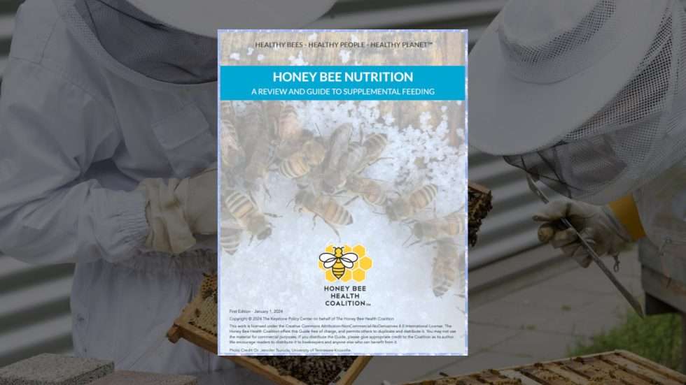 Honey Bee Health Coalition Helps Beekeepers Unlock The Secrets Of Hive