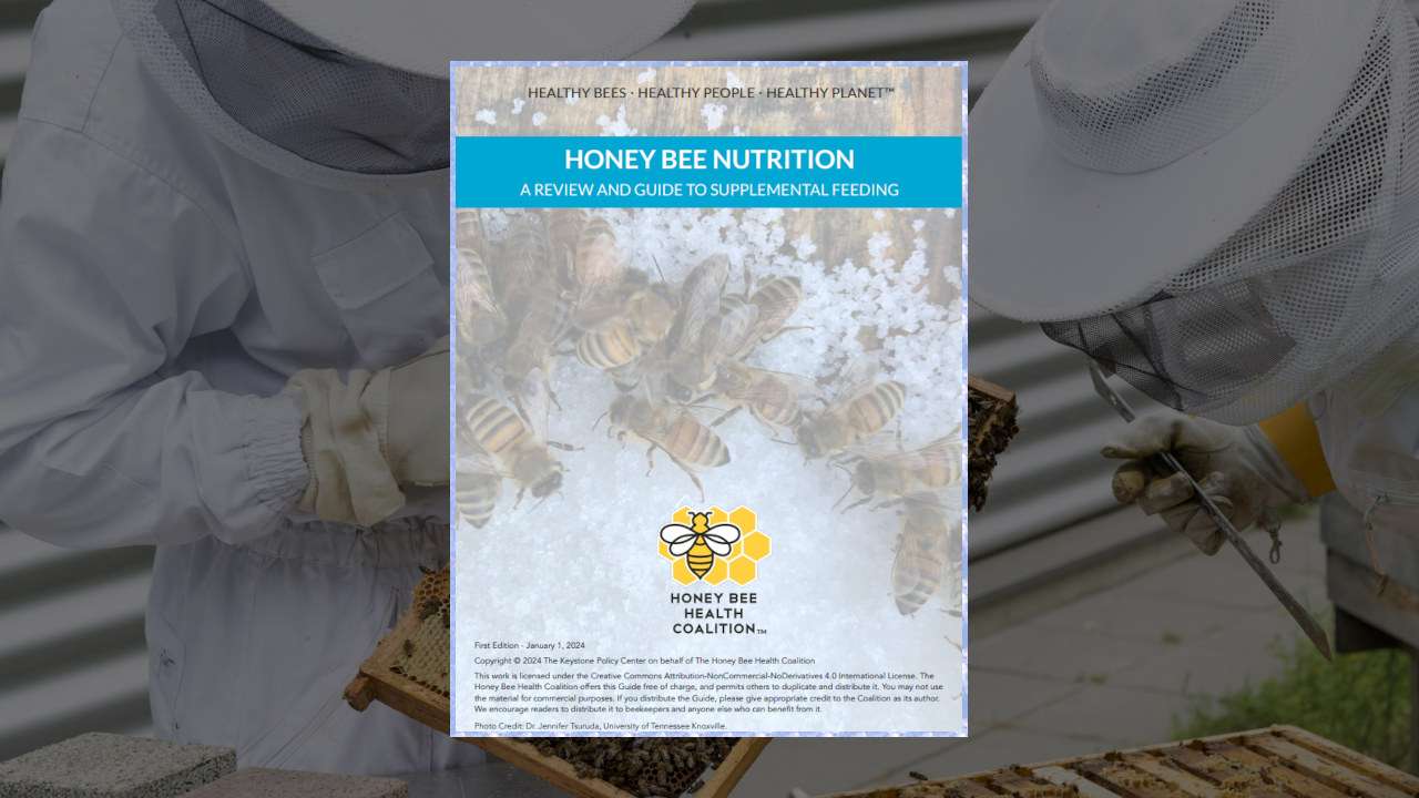 Cover image of the Honey Bee Health Coalition Honey Bee Nutrition Guide