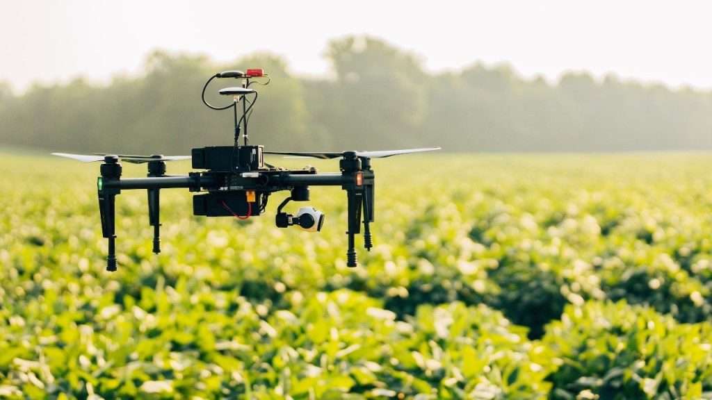 Agricultural drone flying over vegetable field.