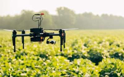 Transforming Agriculture: Harnessing Sensors, Smart Devices, And AI