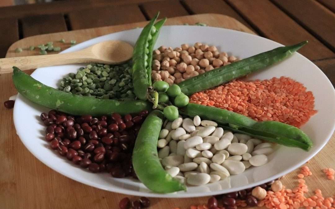 Diets Rich In Plant Protein May Help Women Stay Healthy As They Age