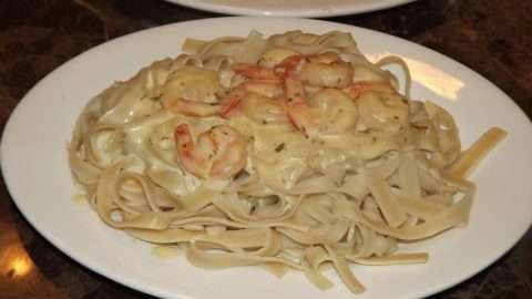 Bowl of pasta with shrimp in a cream sauce.