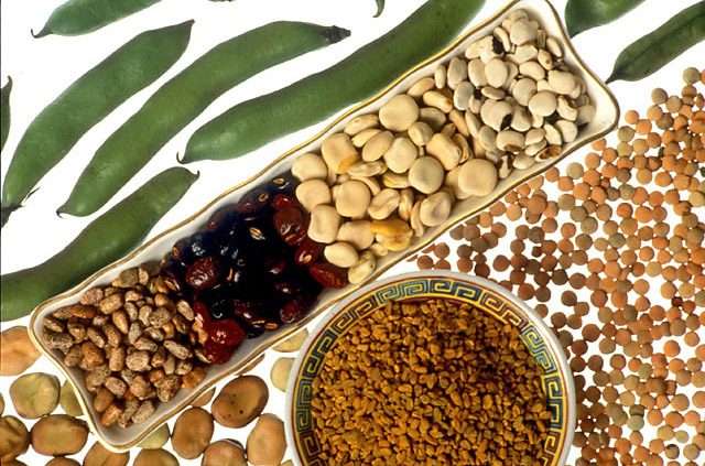Image of assorted legumes.