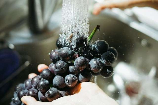 Grapes being rinsed in kitchen sink. 