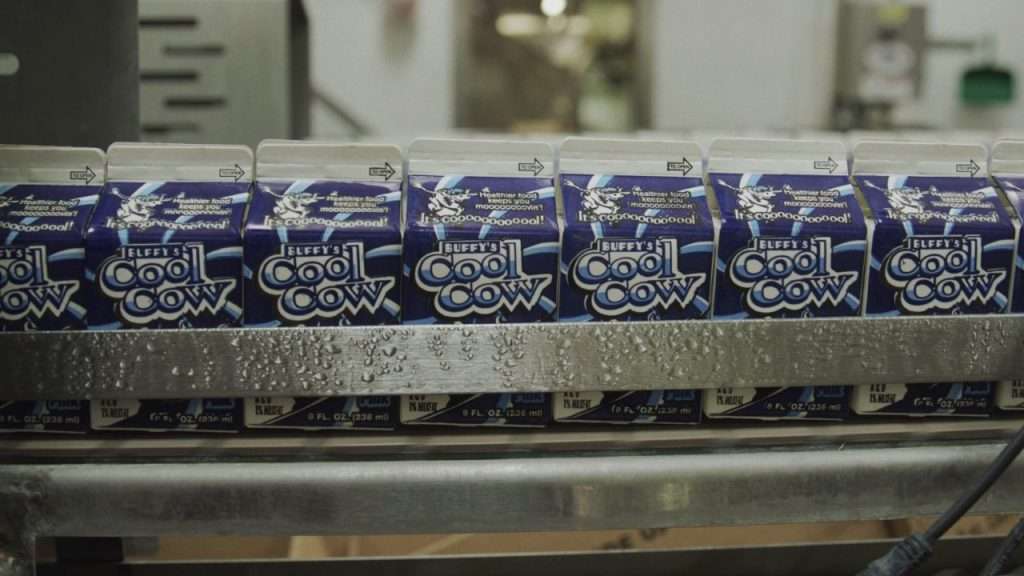 Milk cartons on conveyor system being filled, sealed and packaged.