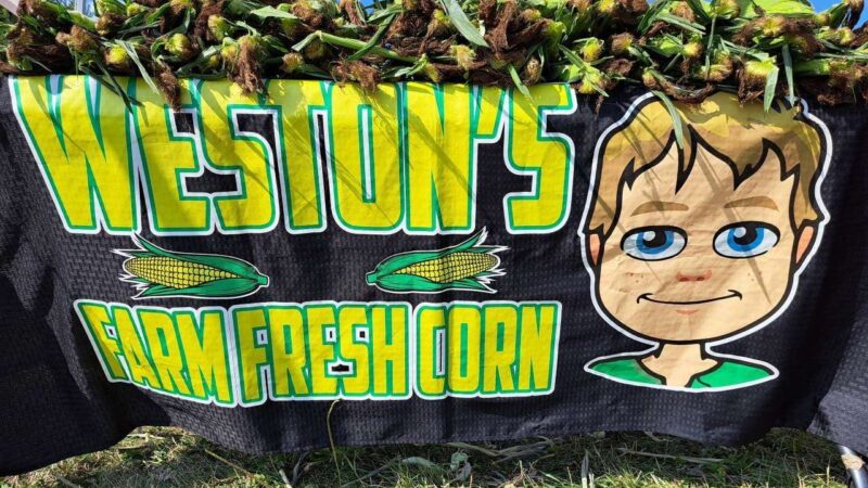 "Weston's Farm Fresh Corn" sign and table full of corn.