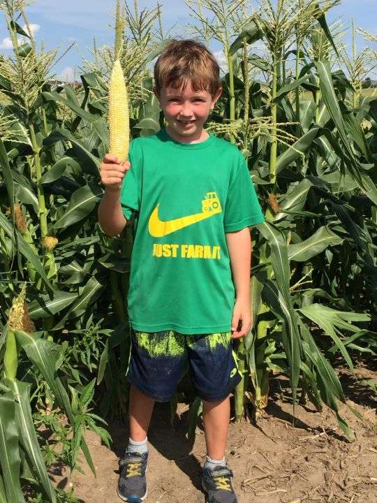 Young Weston Hannan holding ear of corn in his cornfield.