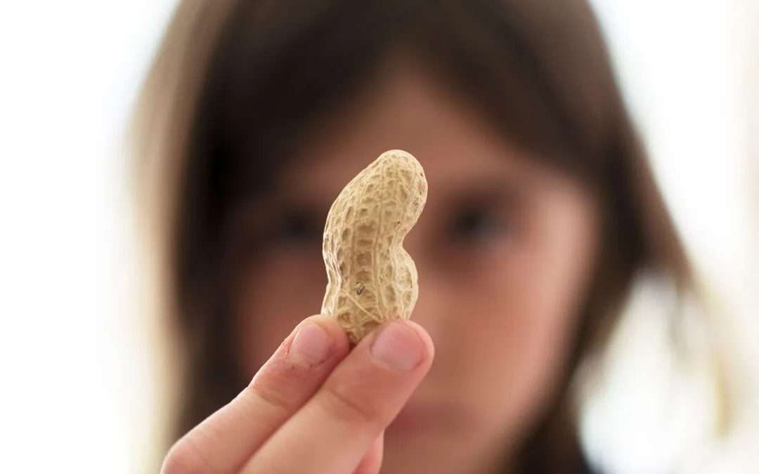 McMaster Study Finds Oral and Gut Microbes Could Break Down Peanut Allergens Before Causing Reactions