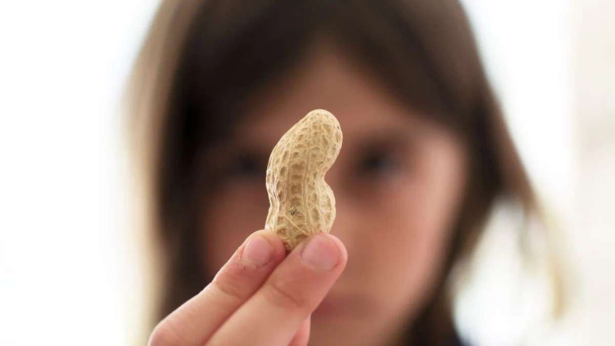 Blurred portrait image of person holding in-focus peanut.