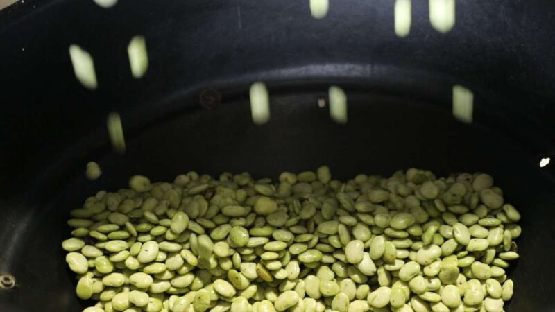 Soy beans falling into a ball of conveyor belt.