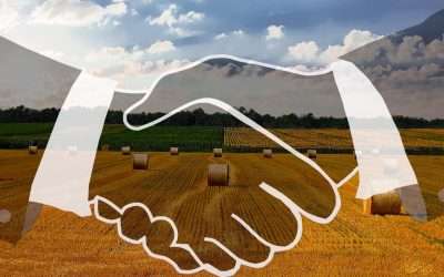 New Land Transfer Program To Help Nation’s Farmers Protect And Access Farmland