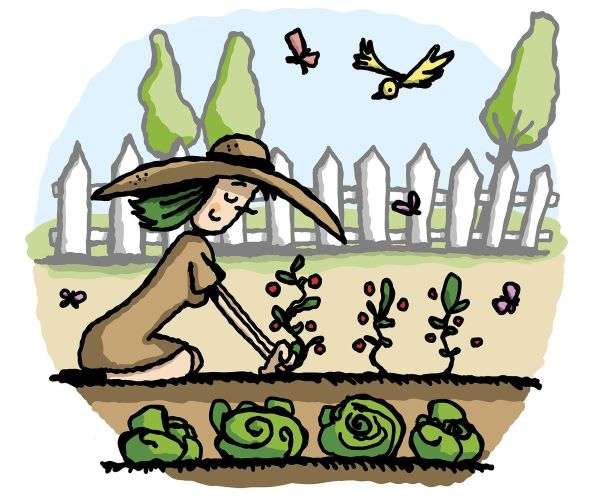 Cartoon of gardener gardening. 