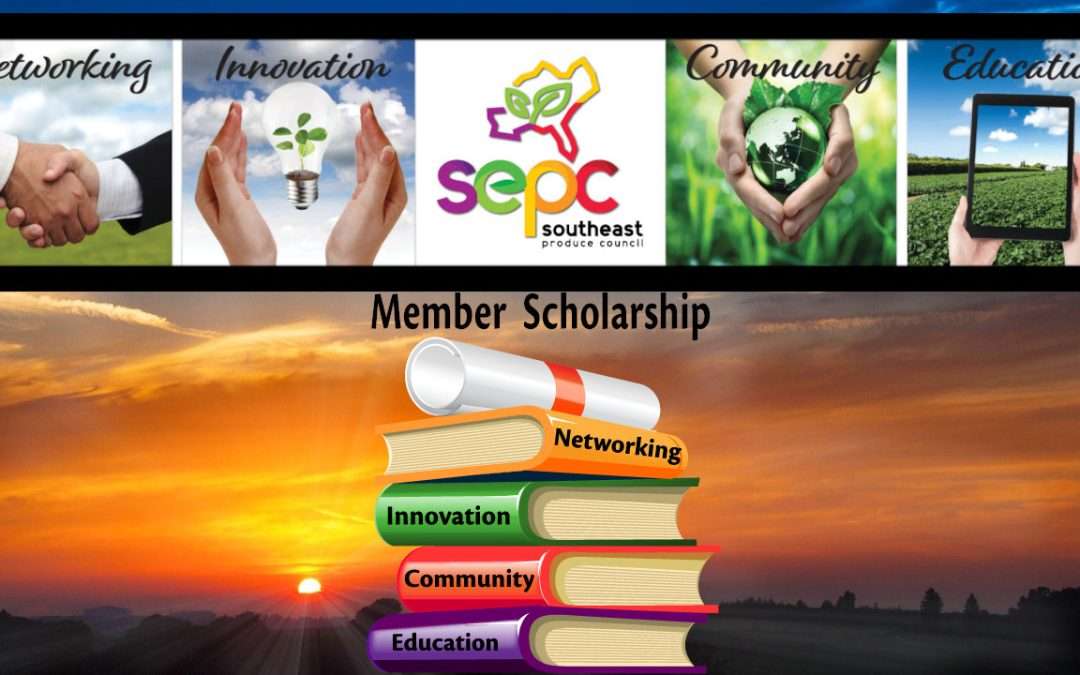 SEPC Announces 2024 Member Scholarship Recipients