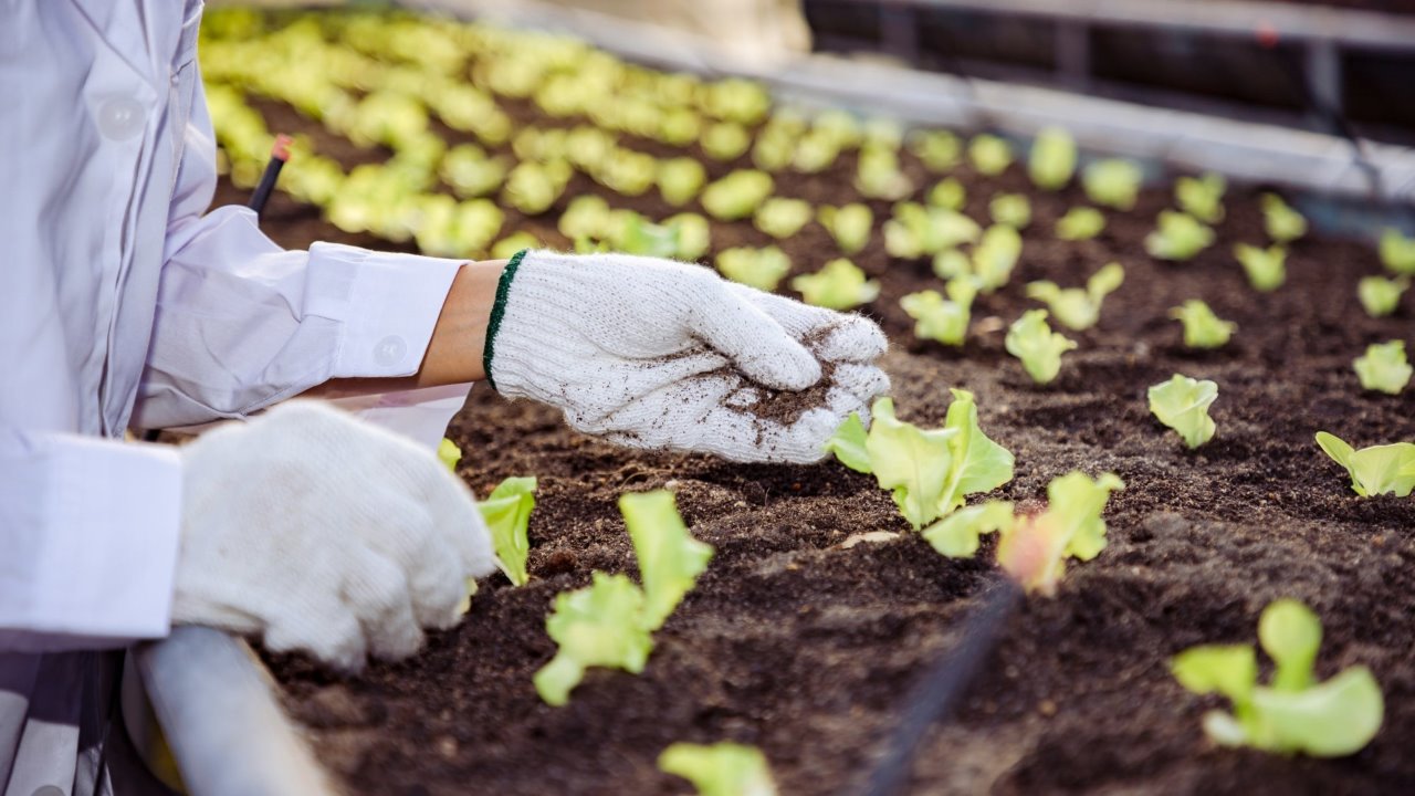 Person gardening in an urban farm greenhouse.