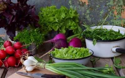 Embrace Spring’s Bounty: FoodTrients Unveils Delectable Spring Vegetable Recipes for Health And Vitality