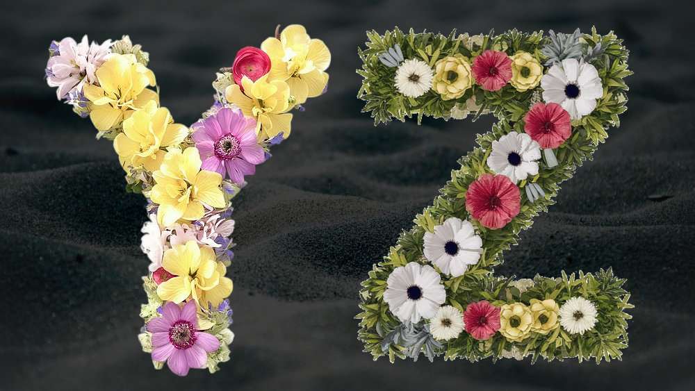 Letters Y and Z made of flowers. 