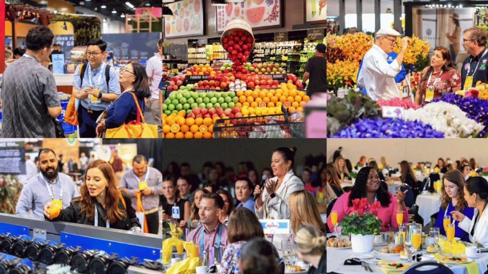 IFPA Opens Registration For The 2024 Global Produce And Floral Show